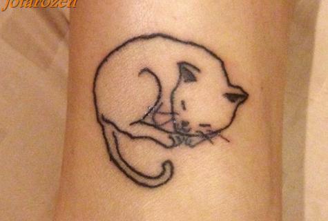 What is meant by tattoo of cat